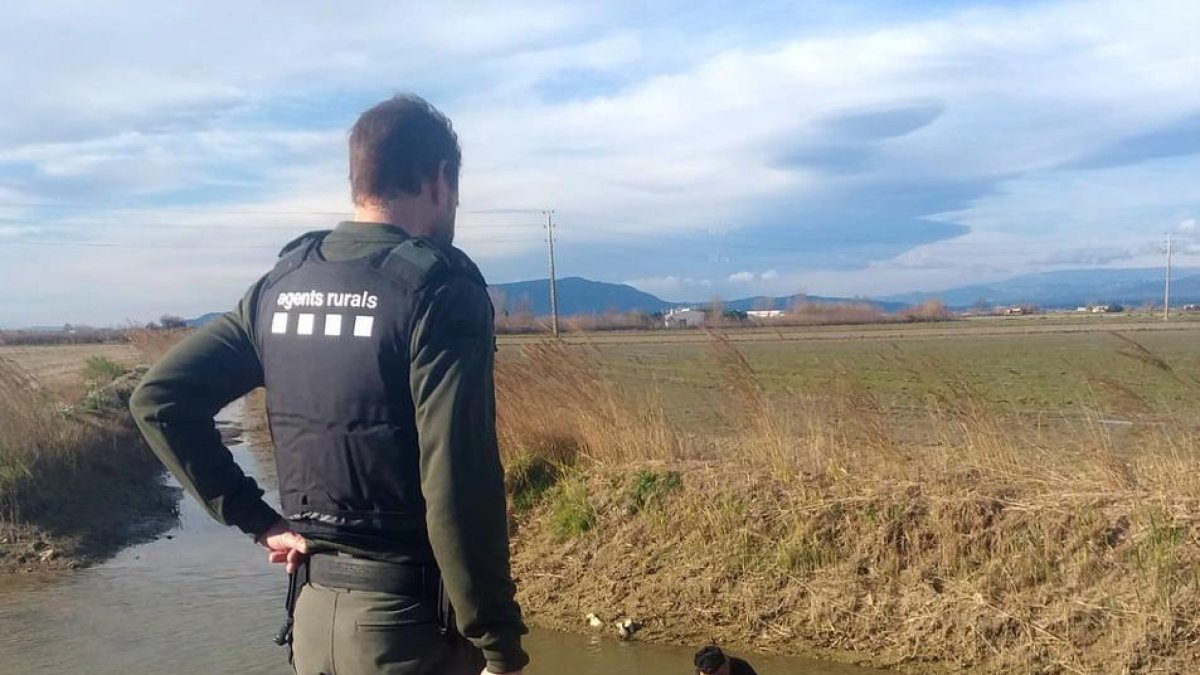 Bosc Verd y GEPEC denuncian el peligro que suponen varias balsas del Penedès