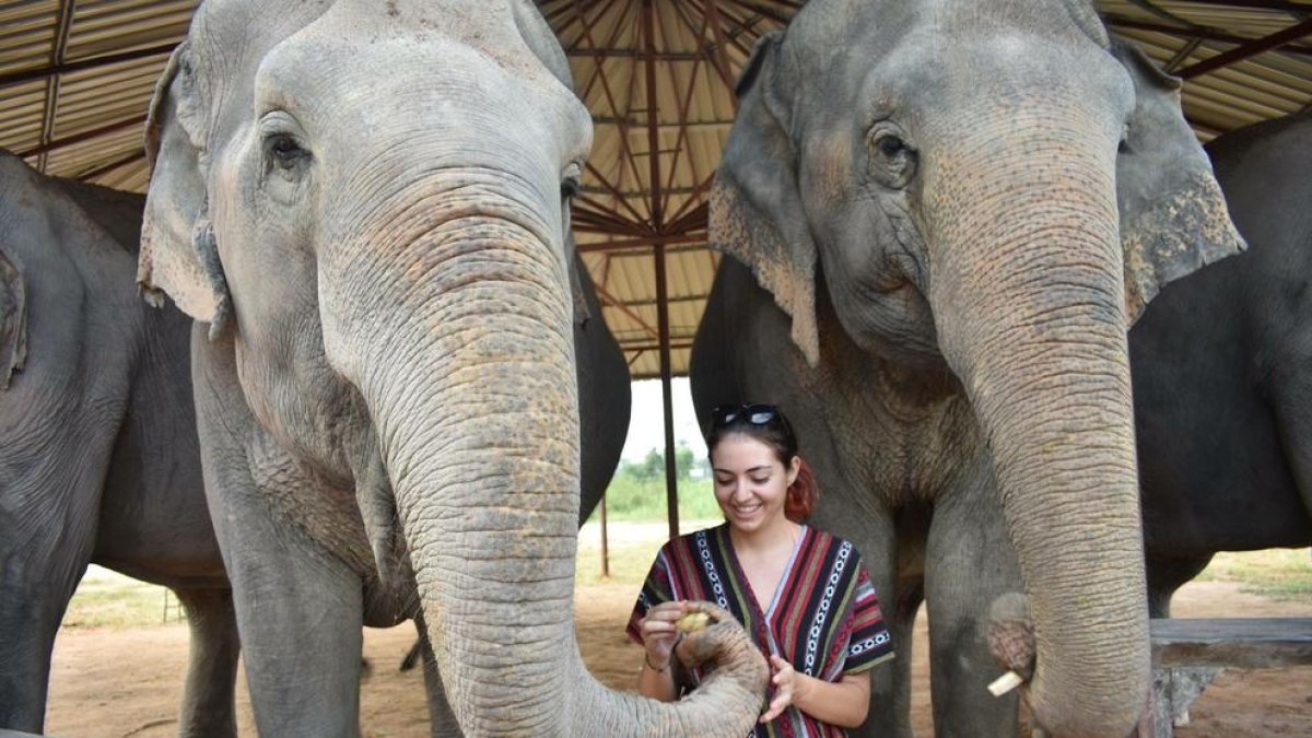 «Ir al Asia ha sido una de las mejores decisiones de mi vida»
