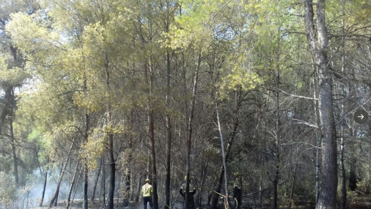 Queman 2.800 metros cuadrados de vegetación a la urbanización Els Hostalets de Tarragona