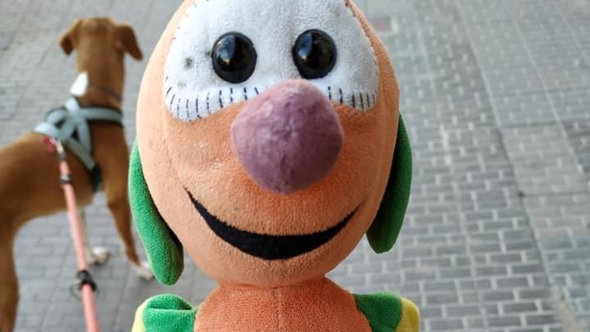 Imatge del nino del Mic trobat al carrer Pin i Soler.