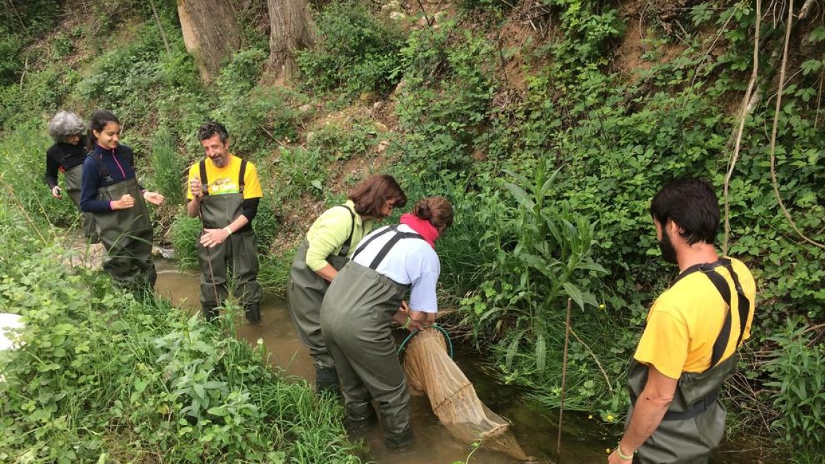 El Gaià busca guaites ambientals
