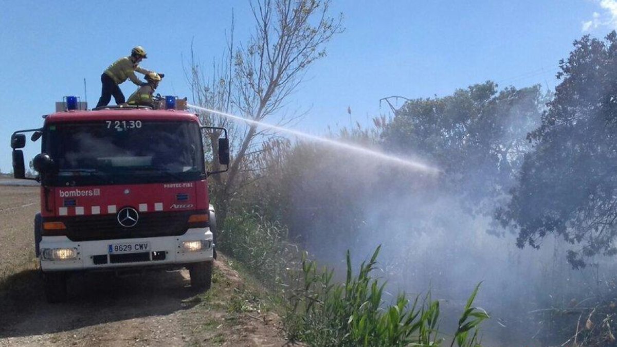 Cremen 300 metres de vegetació a Deltebre