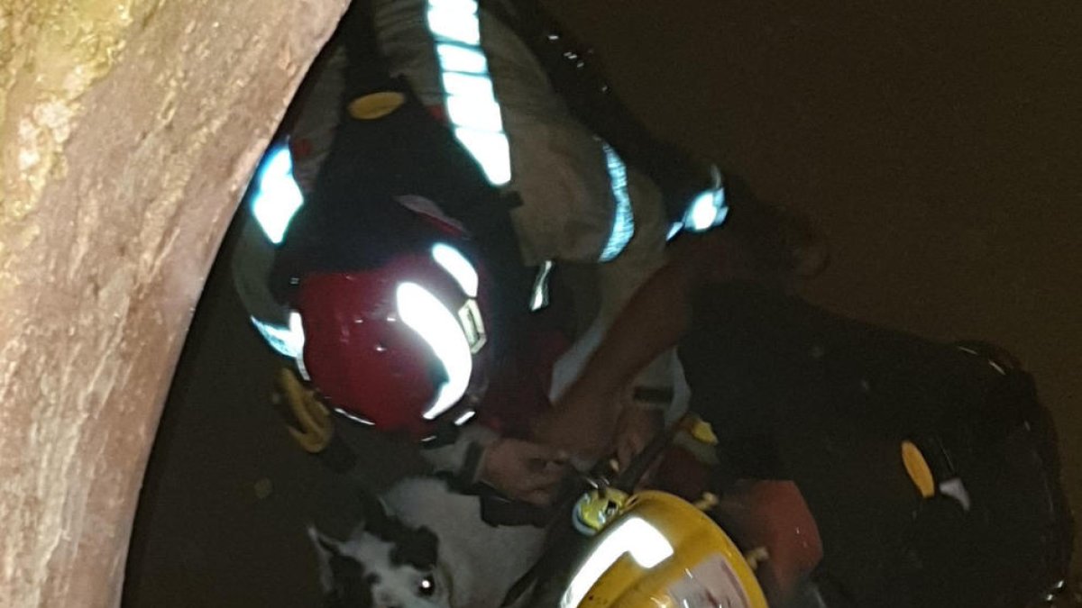 Rescatan un perro de un pozo de unos cinco metros de profundidad en la Pobla de Montornès