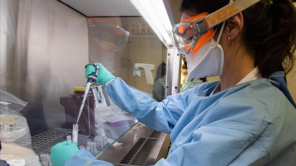 Las pruebas de coronavirus se harán a todos los casos leves en dos o tres días