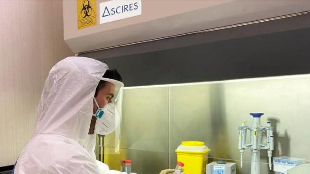 Dissenyen un test PCR que permetrà fer 7.000 diagnòstics de coronavirus en un dia