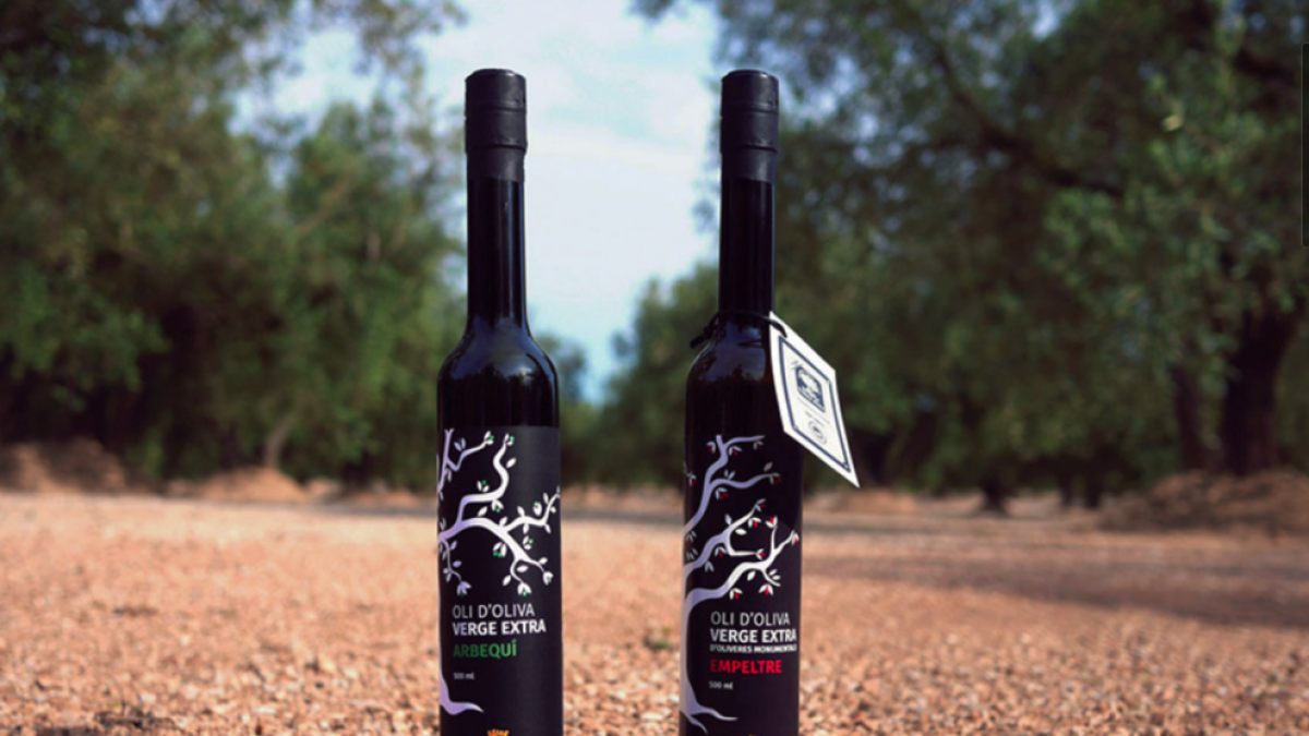 Un aceite de empeltre de la DOP Terra Alta recibe la medalla de plata de los premios internacionales de Japón