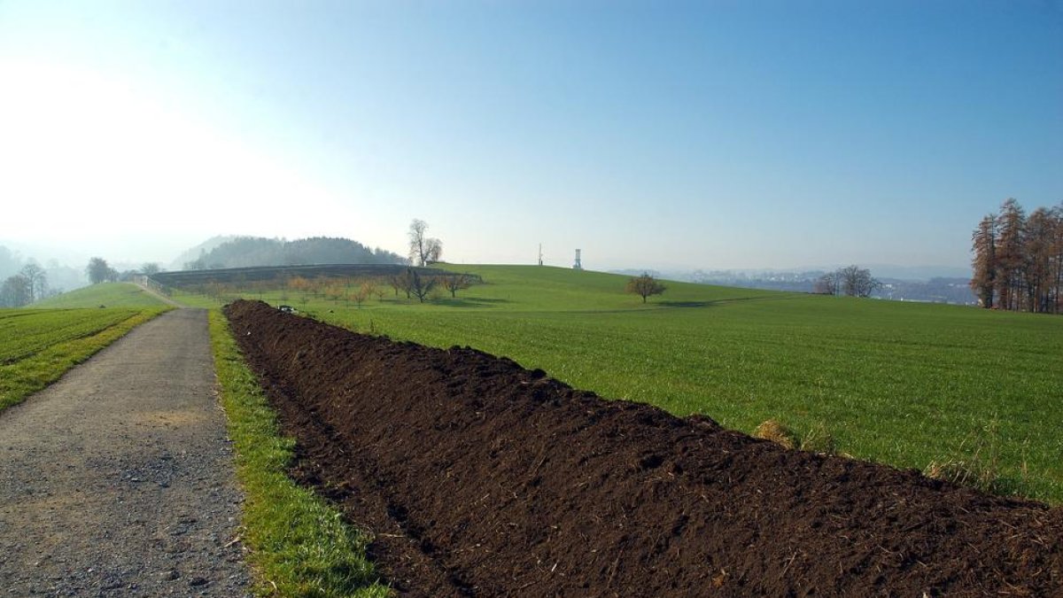 Una ley permitirá transformar un cadáver en dos carretillas de compuesto a los EE.UU.