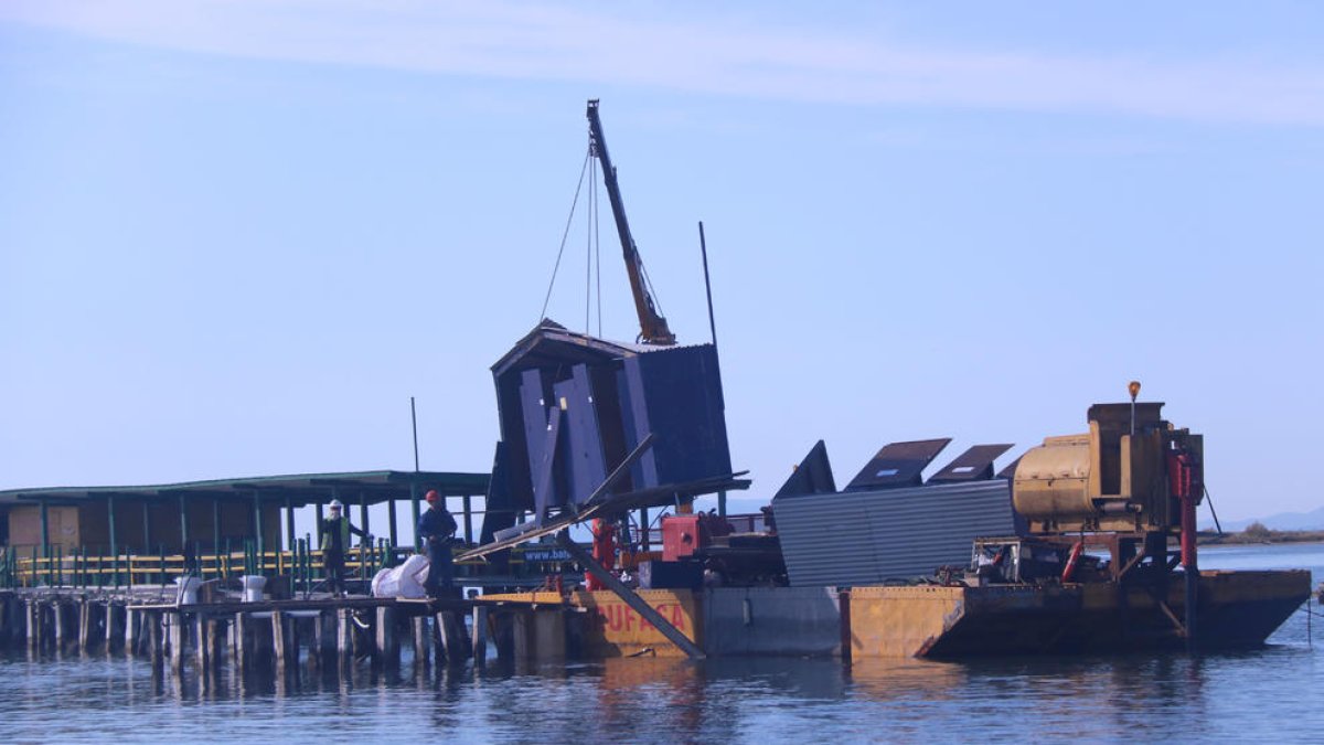 Un reservorio de nácares ocupará el espacio del chiringuito ilegal de la punta del Cuerno, en el delta del Ebro