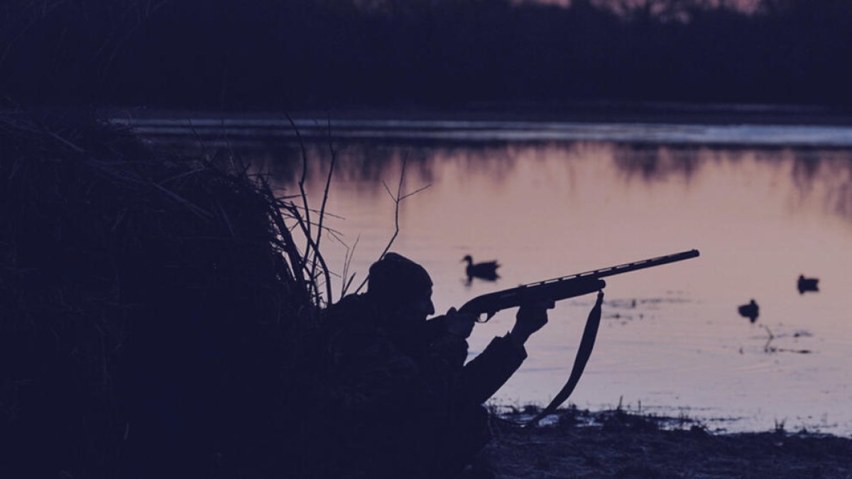 GEPEC-EdC denuncia que se permita cazar patos en el Delta de noche durante el toque de queda