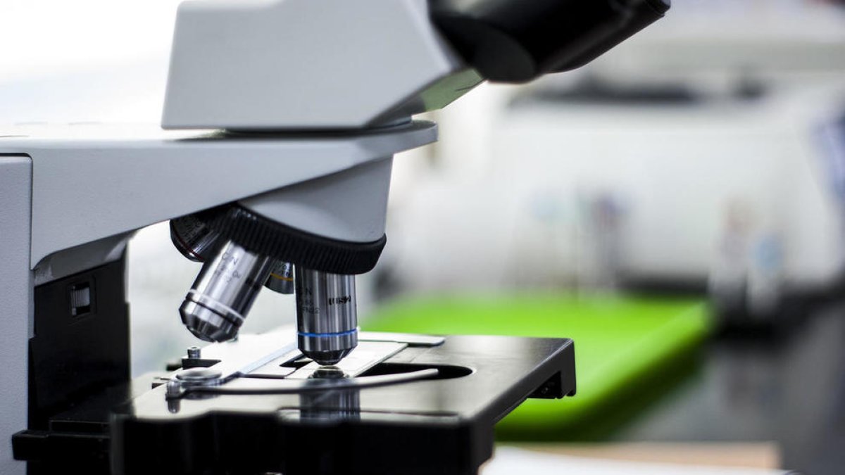 Científics espanyols descobreixen una combinació de medicaments que reverteix l'artrosi