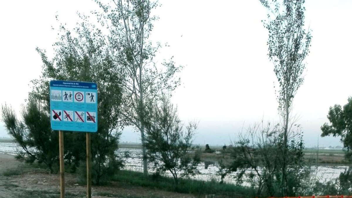 Agricultura defensa que la caça d'ànec al Delta no incompleix ni el toc de queda ni el confinament municipal