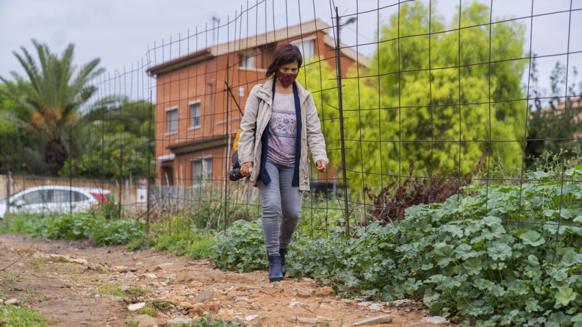 Denuncian el mal estado de un camino por acceder a Tarragona II