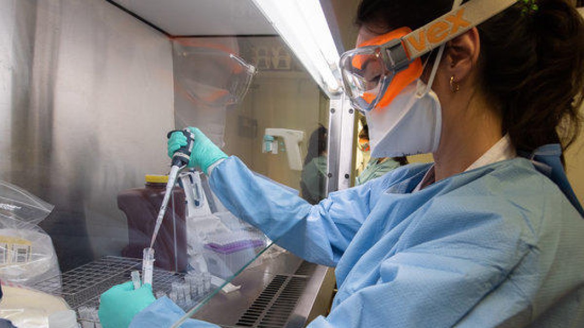 Laboratorios de microbiología aseguran que los tests rápidos no funcionan bien