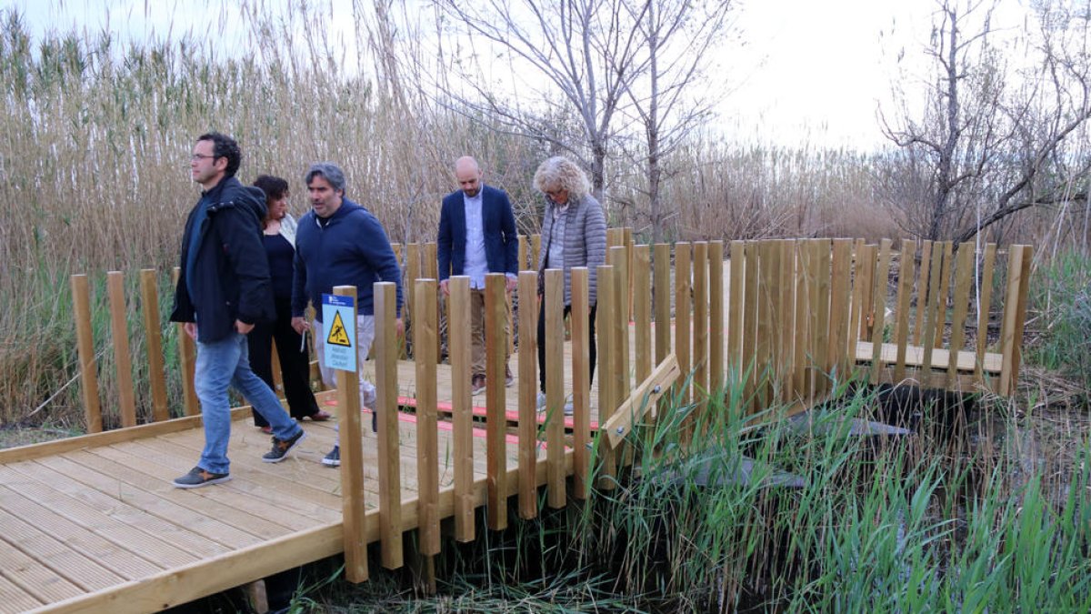 Un recorrido adaptado hace visitable las interioridades de los colmillos de Baltasar, en el delta del Ebro