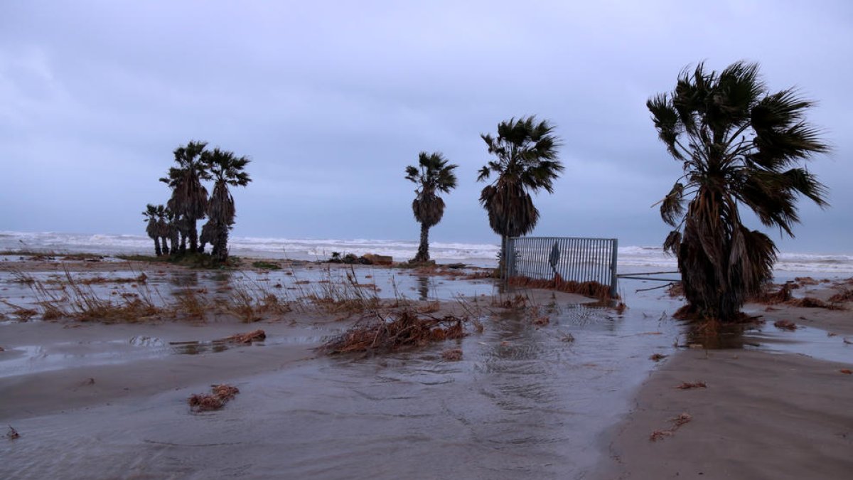 balsa de la Arena, Deltebre, temporal
