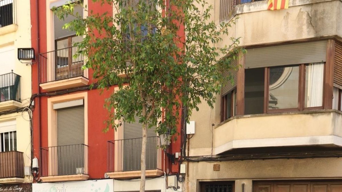 La campana de la Iglesia de la Sangre de Reus vuelve a sonar después de 15 años