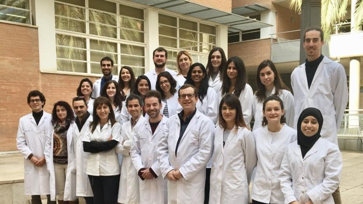 La URV demuestra que comer frutos secos provoca cambios en la función del ADN de los espermatozoides