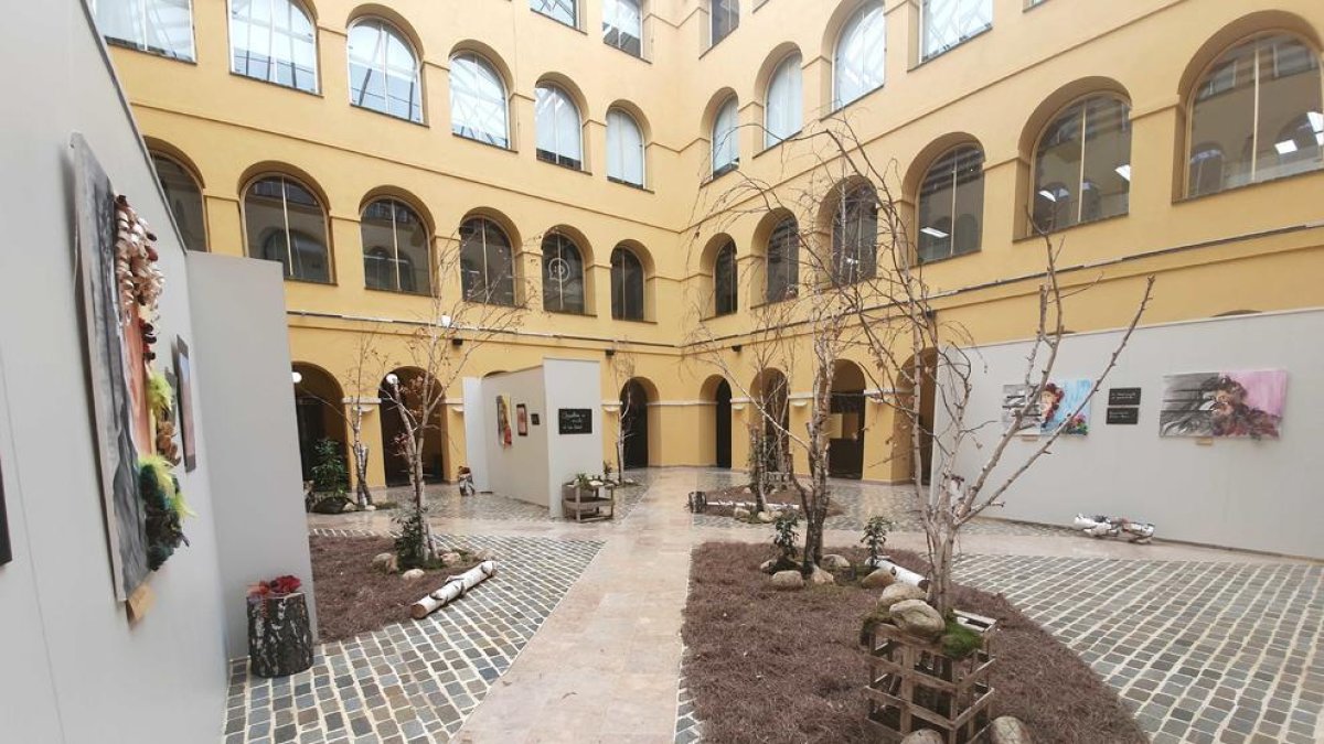 El Pati del Palau de la Diputació es converteix en un bosc que rebrota en honor a les dones que superen la violència