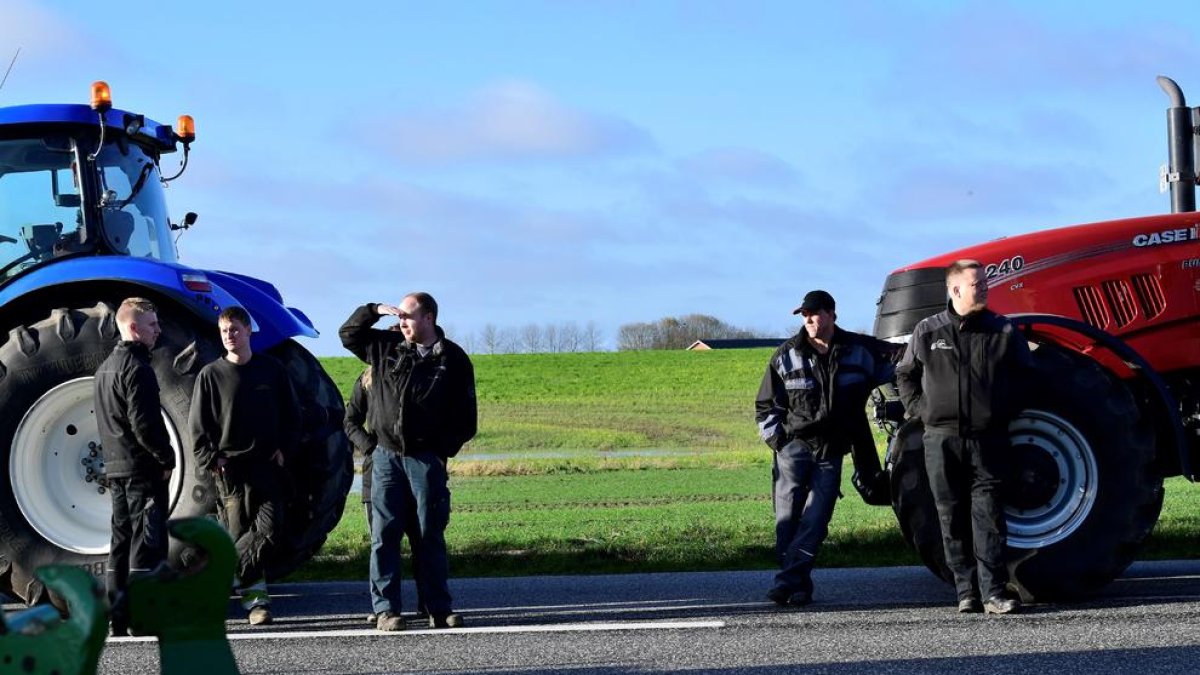 La mutació de la covid-19 en visons podria suposar un problema per les futures vacunes