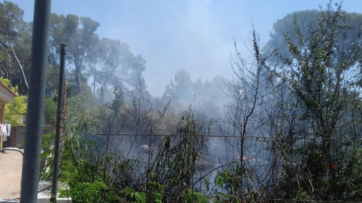 Un incendi crema 700 metres quadrats de matolls en un descampat a Cunit