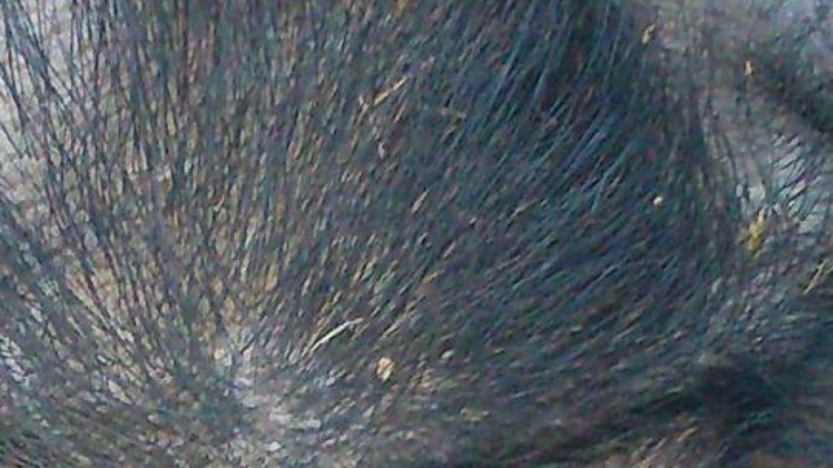 Denuncia contra la Guardia Urbana de Tarragona por omisión de funciones