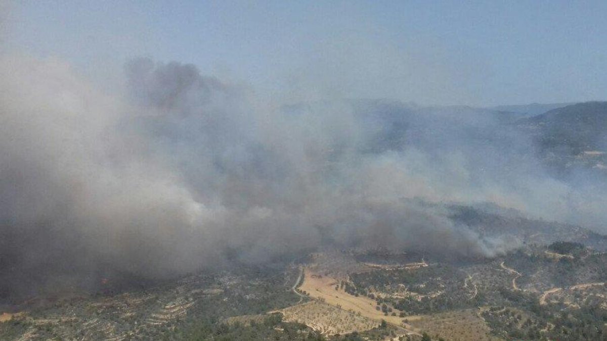 41 dotacions de Bombers treballen en un incendi entre Vinebre i la Torre de l'Espanyol