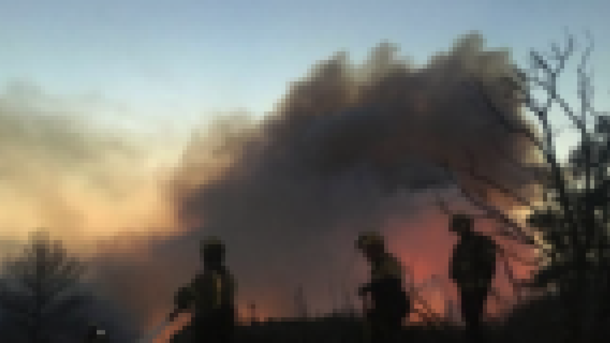 Imagen de efectivos de los Bomberos trabajando en el fuego forestal de la Ribera d'Ebre.