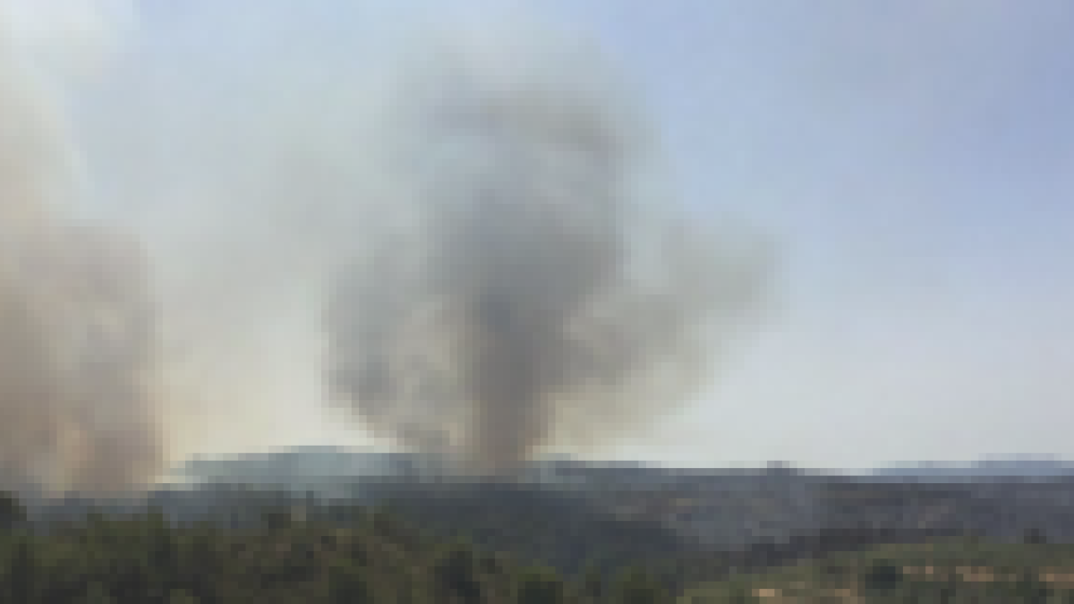 Reproducciones en el flanco derecho del incendio Forestal de Ribera d'Ebre.