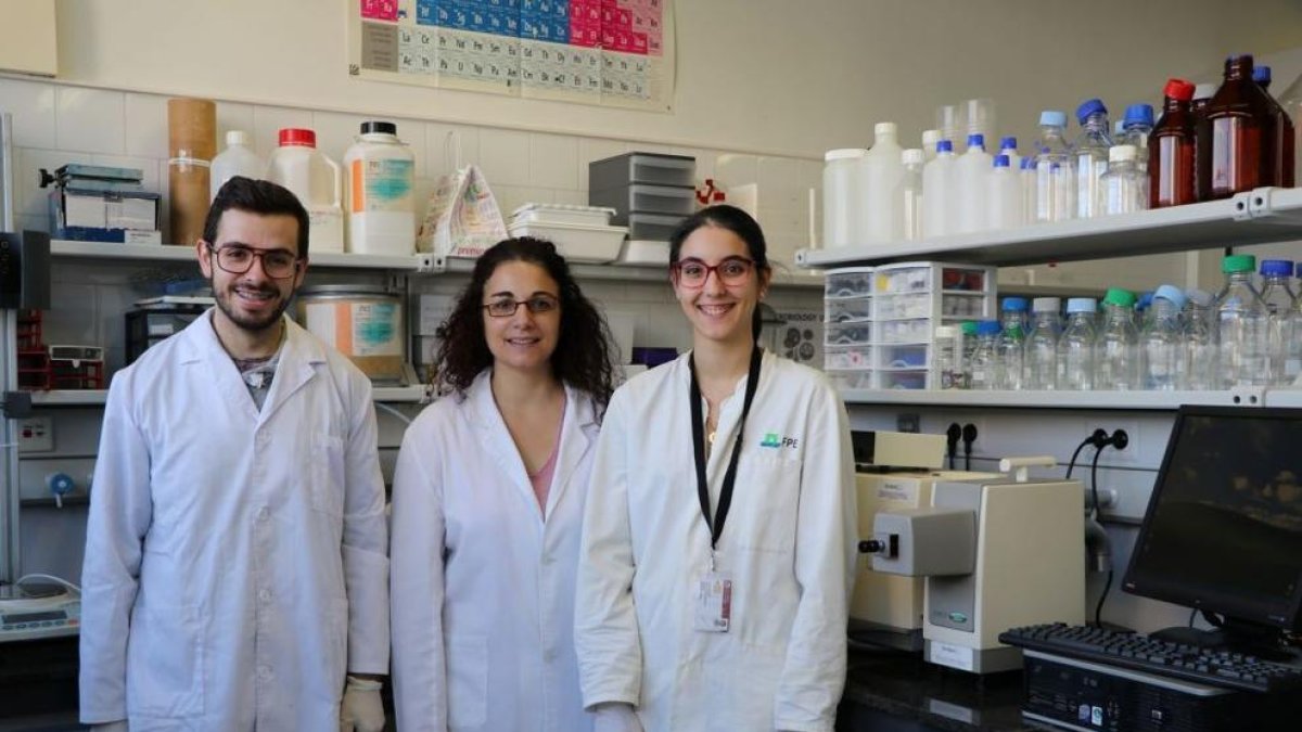 Crean un método para detectar adulteraciones en los alimentos elaborados con insectos