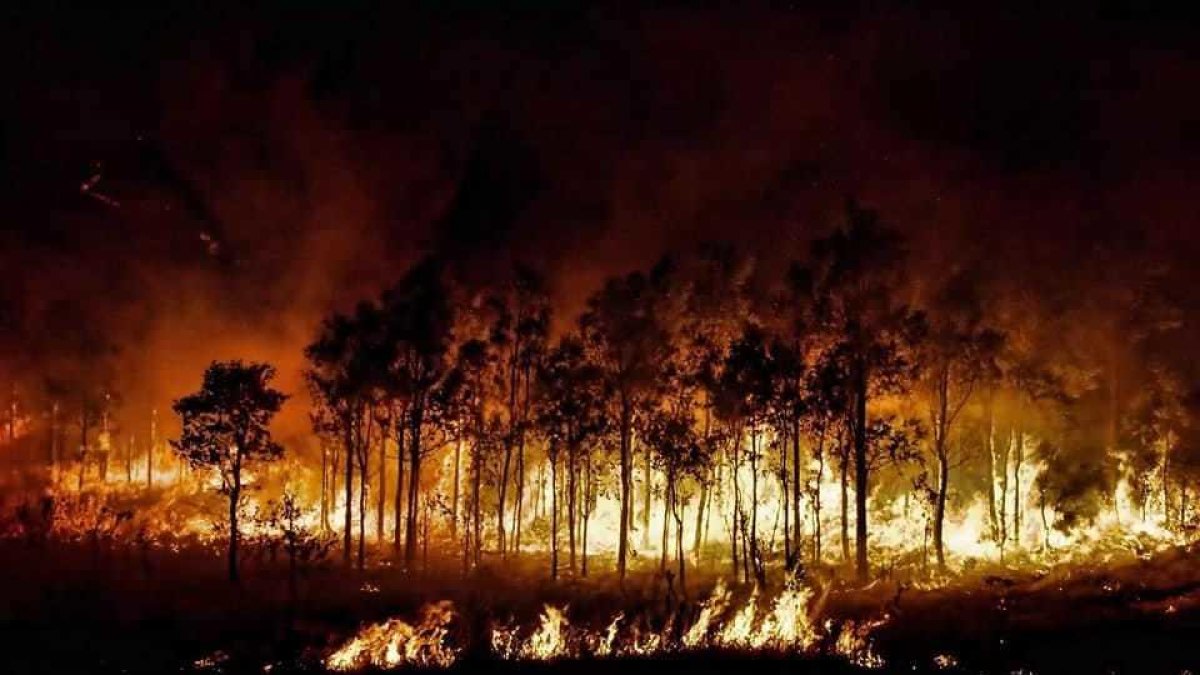 Els Bombers encara no tenen encerclat l'incendi de Ribera d'Ebre