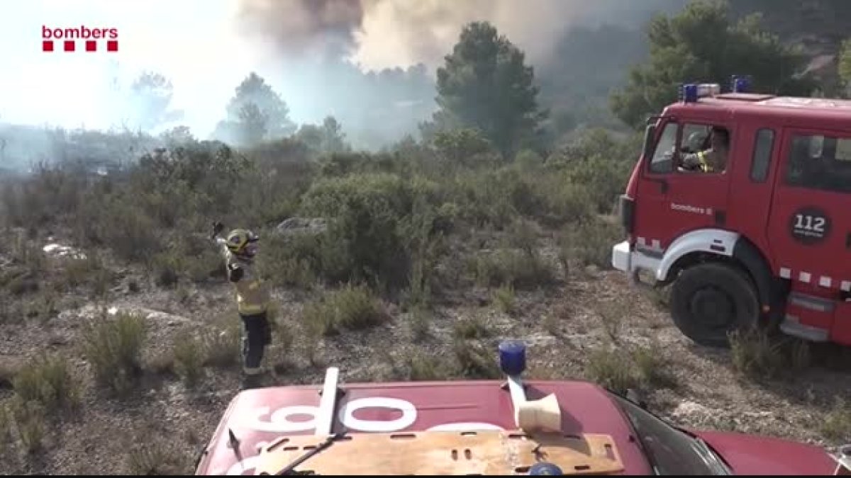 incendi, riebera d'ebre, desallotjats, Bombers, foc, Mossos