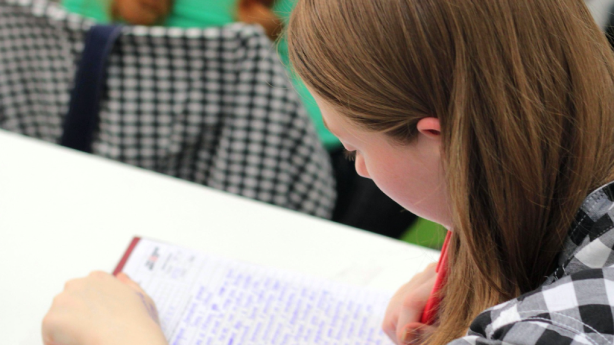 Un total de 76 centres d'FP d'arreu de l'Estat celebren la Diada d'Europa