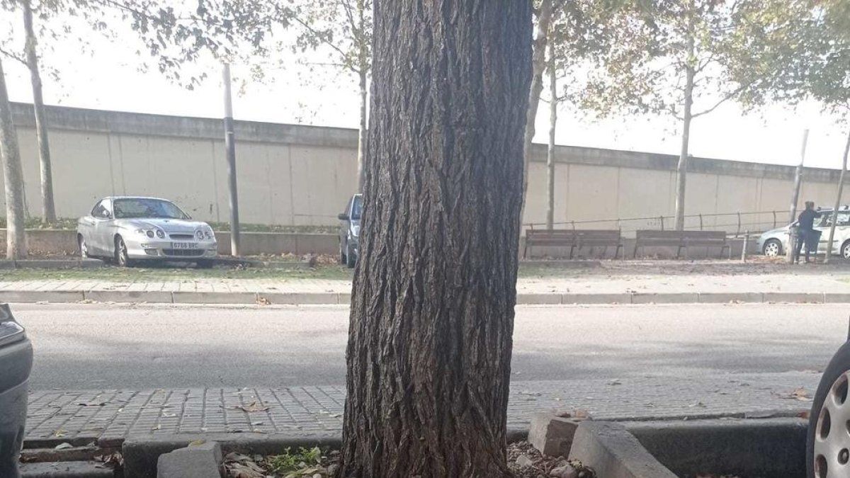 Belén Uruen: «Sembla que el barri de Torres Jordi sigui el barri de ningú»