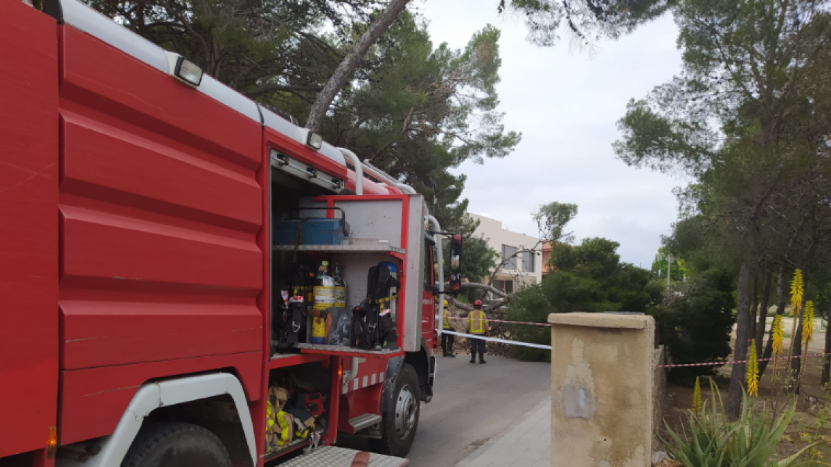 La caída de un pino corta una calle en Altafulla