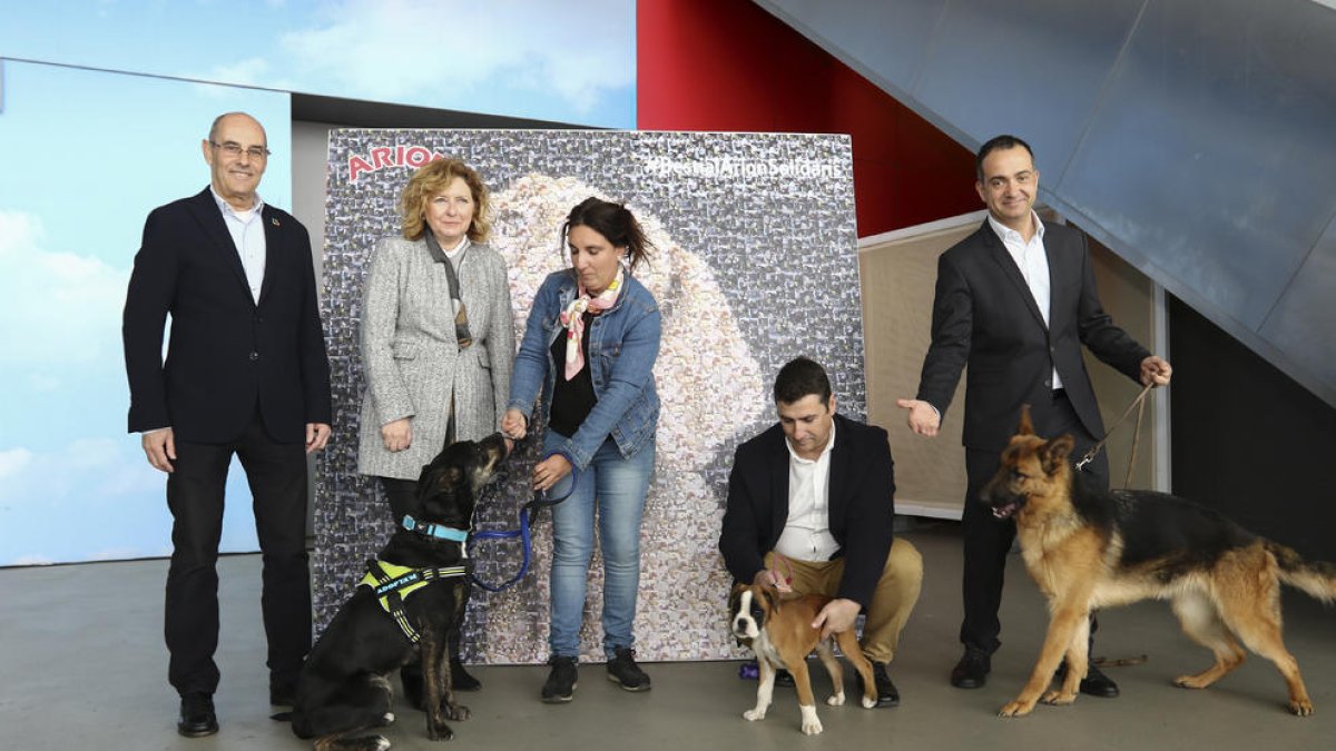 El Saló de la Mascota, Bestial, potenciarà les activitats infantils