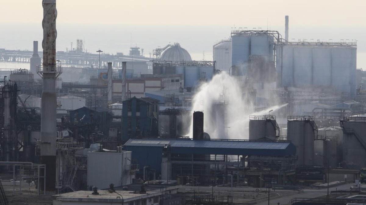 canonja, iqoxe, planta, explosió