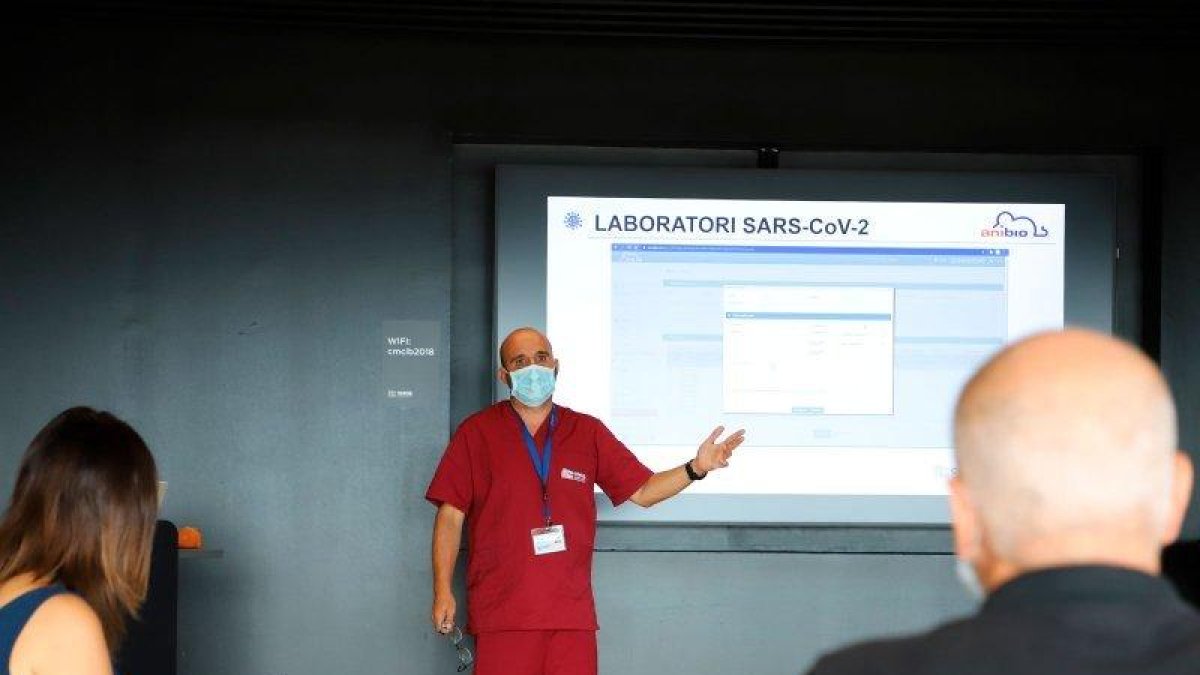 Probarán si una vacuna para tratar la tuberculosis también sirve para prevenir la covid