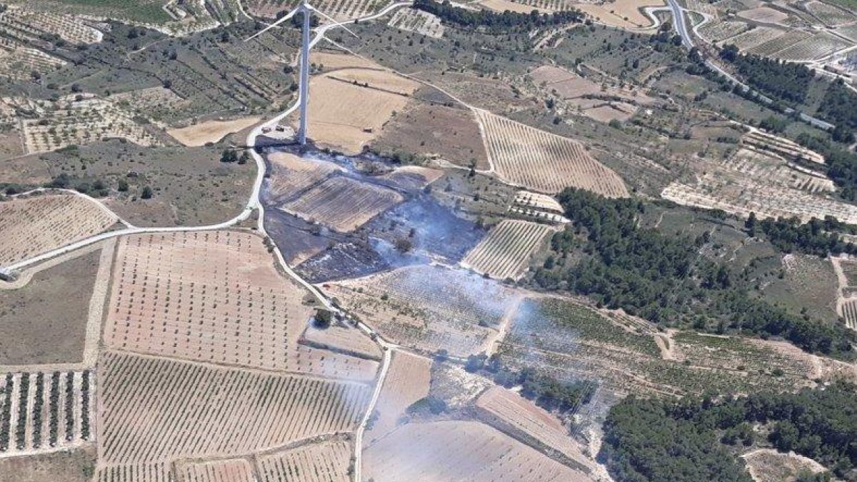 Los Bomberos estabilizan un incendio de vegetación en Gandesa