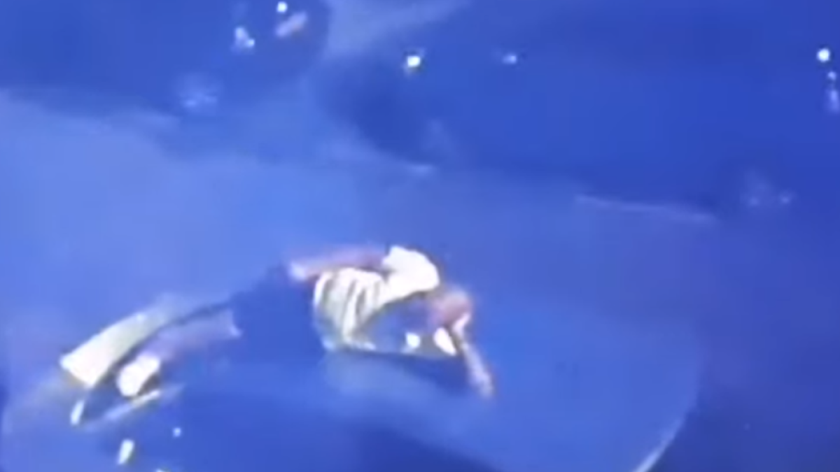 Un exjugador del Real Madrid, detenido por bailar borracho sobre un coche