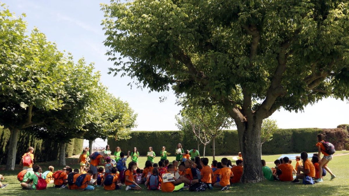 Casales y colonias ven con «preocupación» adoptar las medidas de distanciamiento