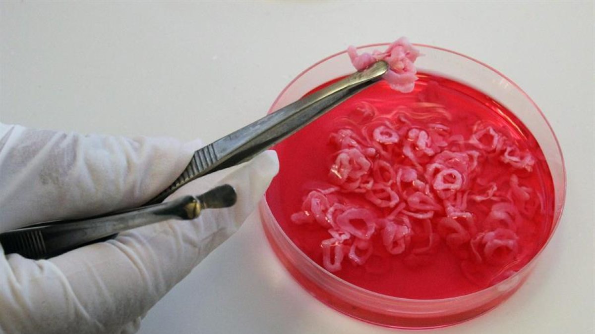 La Xina detecta covid-19 en envasos de carn congelada importada del Brasil