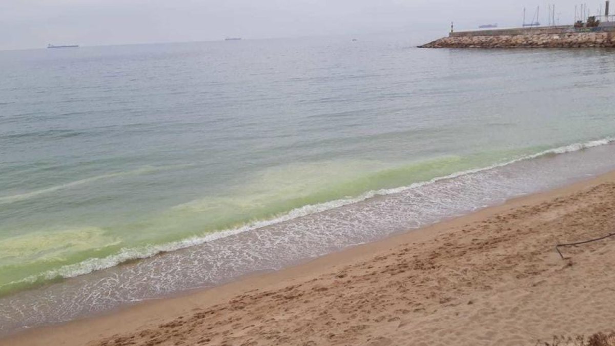 Aparece una mancha verde a las playas tarraconenses