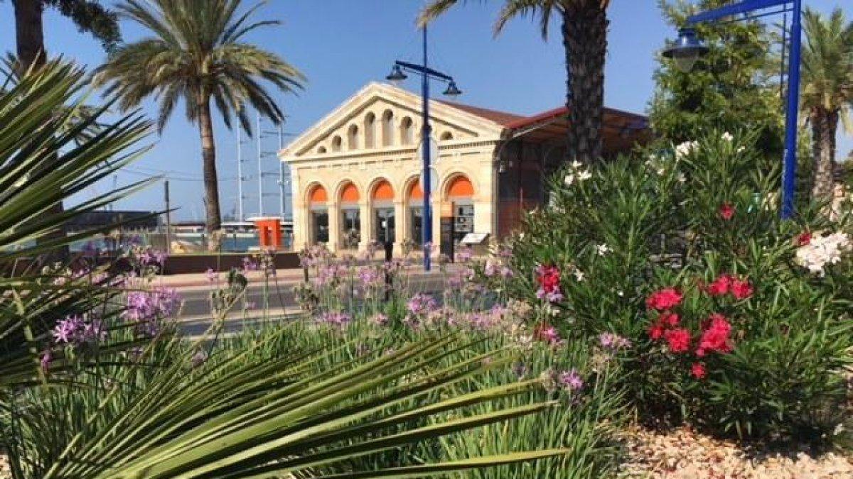 Las zonas verdes del Porto d Tarragona compensan más de 1.500 toneladas de CO2
