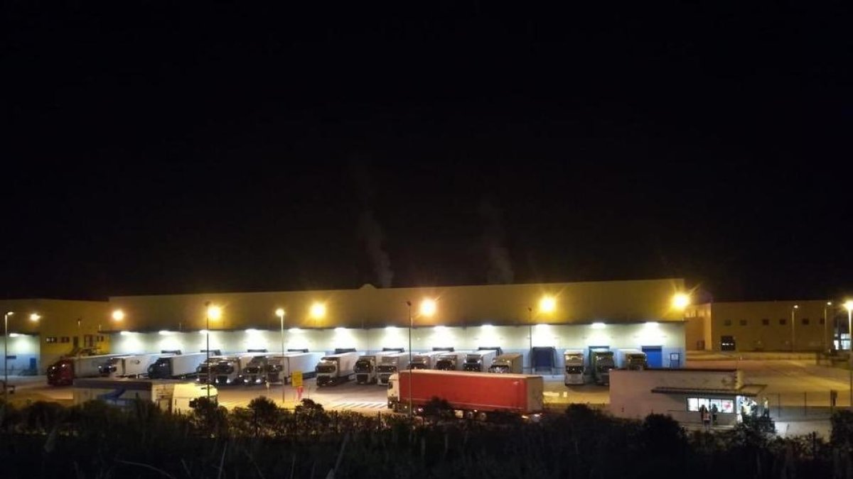 Cues de camions a Puigpelat per reposar productes de cel·lulosa al Mercadona