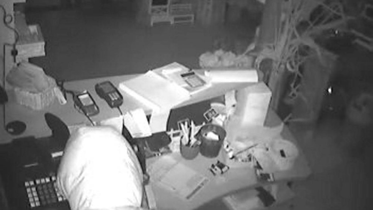 Los Mossos detienen a un ladrón multirreincidente después de un robo en centro de jardinería de Sant Just Desvern