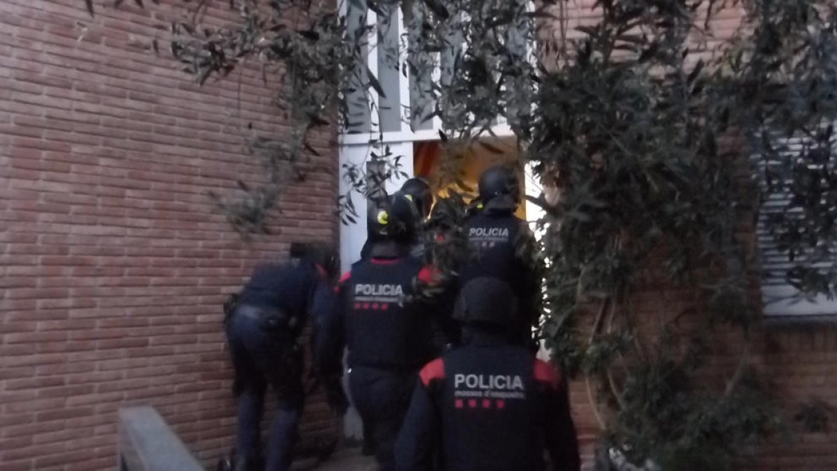 Desmantellen dos cultius de marihuana amb més de 1.900 plantes a Alcanar i al Vendrell