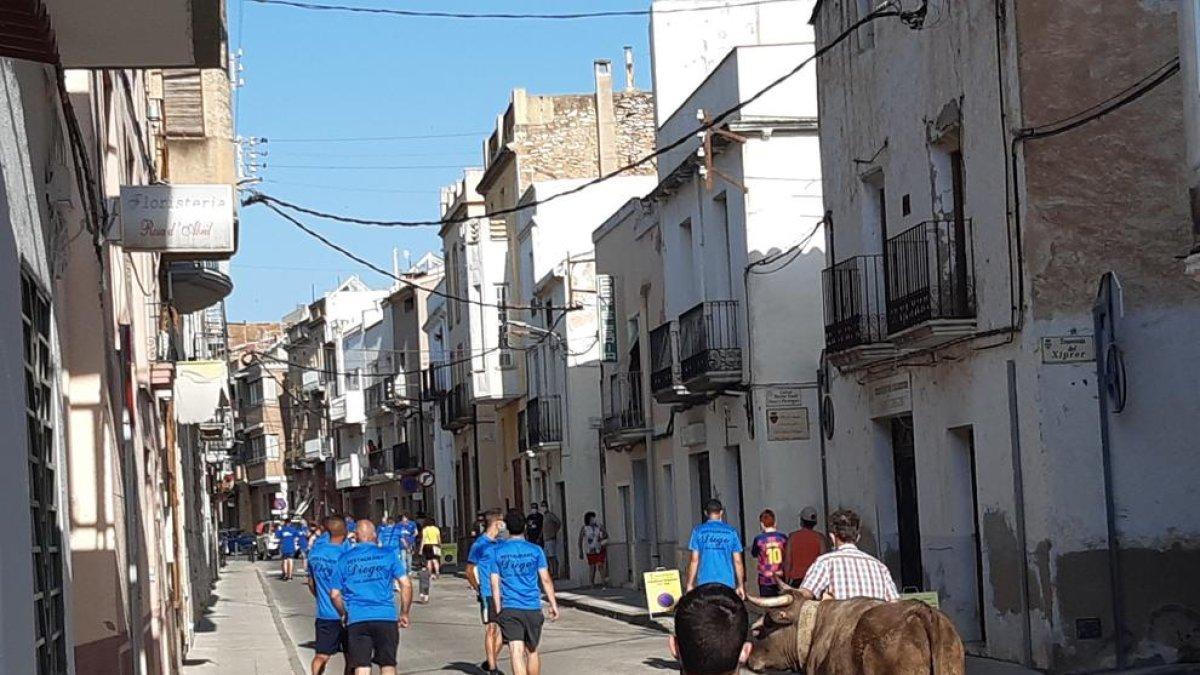 Nova Eucària denúncia un acte taurí a Santa Bàrbara per vulnerar la llei