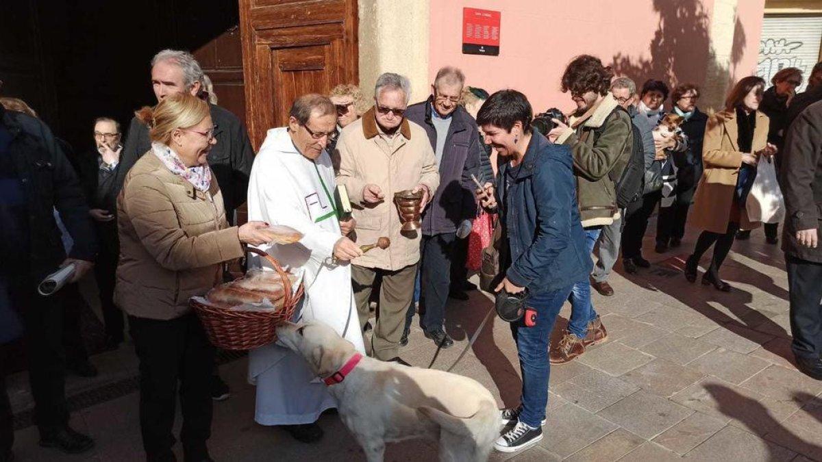 El Gremi de Pagesos celebra Sant Antoni beneint els animals