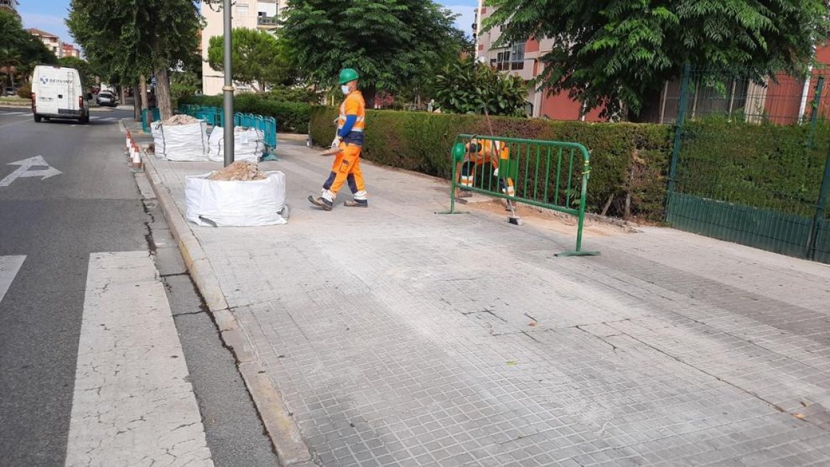 El Ayuntamiento ya ha empezado la mejora del Camino Viejo de la Canonja de Torreforta