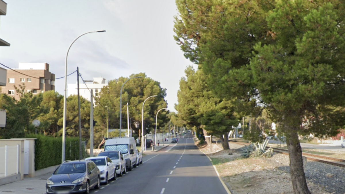 El PP afirma que l'Ajuntament «es despreocupa dels veïns»